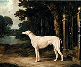 John Frederick Herring Snr Vandeau, A White Greyhound painting
